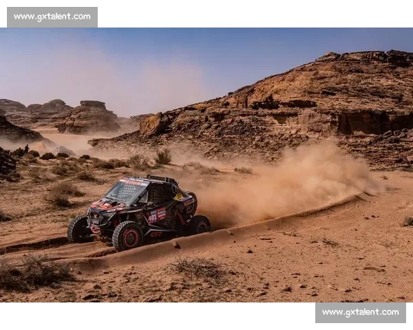 轮胎磨损的艺术，车队工程师的智慧结晶！